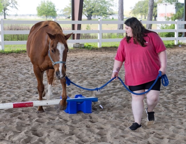 A student leads a horse over a low jump in an arena