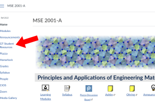 A screenshot of Georgia Tech's student success resources in the LMS